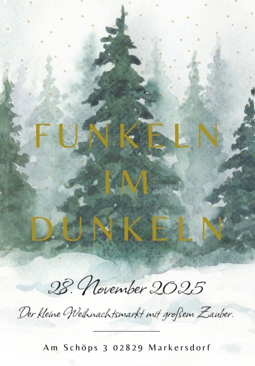 28.11.25 Weihnachtsmarkt Funkeln im Dunkeln